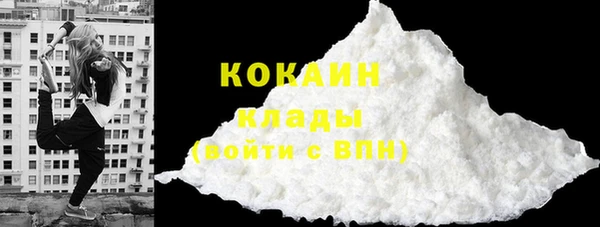 бошки Бородино