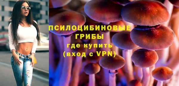 герыч Богородск